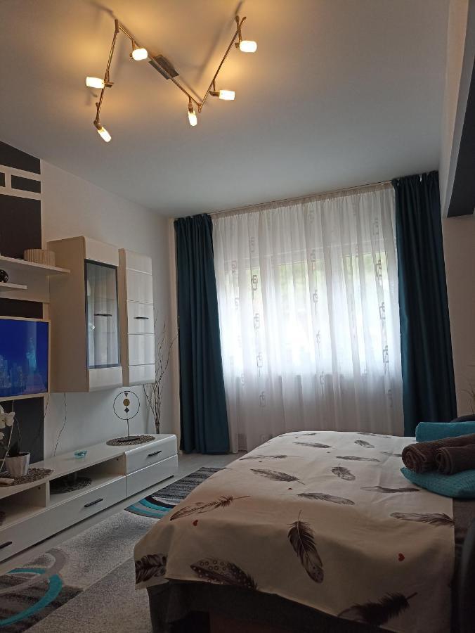 Apartament Sofy2 Herkulesfürdő Kültér fotó