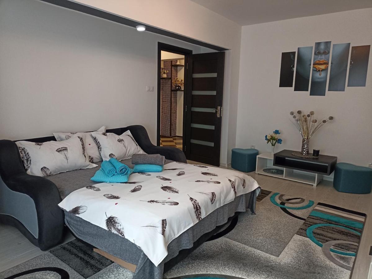 Apartament Sofy2 Herkulesfürdő Kültér fotó